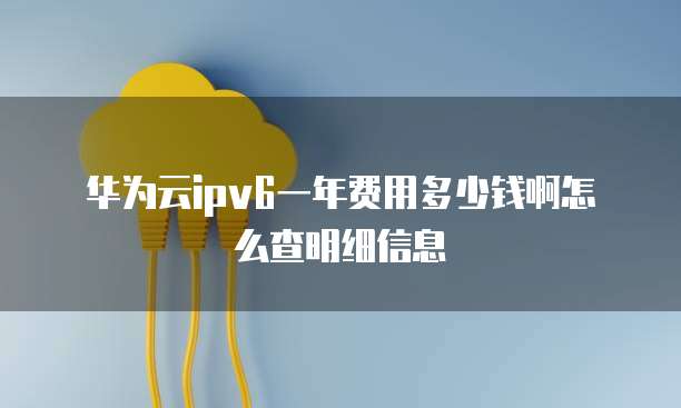 华为云ipv6一年费用多少钱啊怎么查明细信息