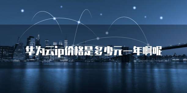 华为云ip价格是多少元一年啊呢