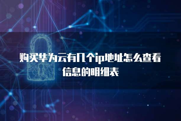 购买华为云有几个ip地址怎么查看信息的明细表