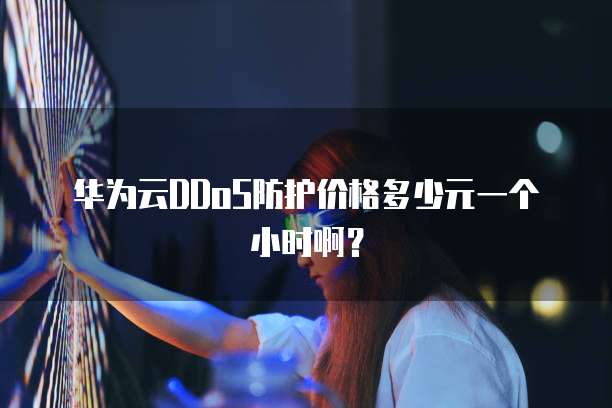 华为云DDoS防护价格多少元一个小时啊？