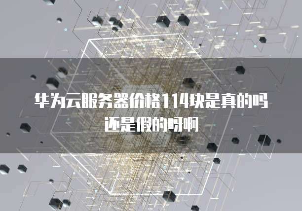 华为云服务器价格114块是真的吗还是假的呀啊