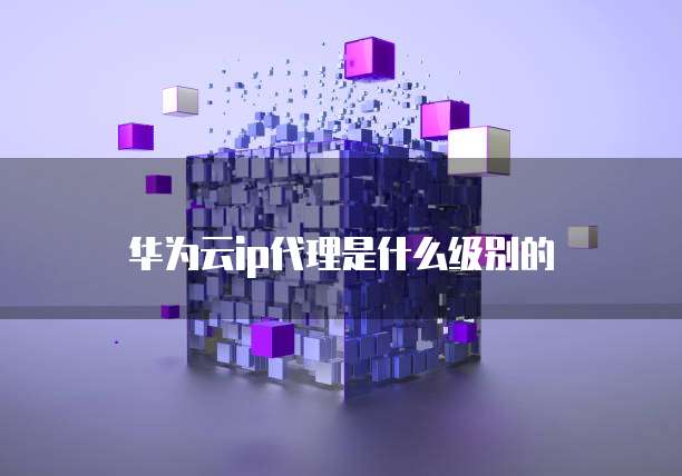 华为云ip代理是什么级别的