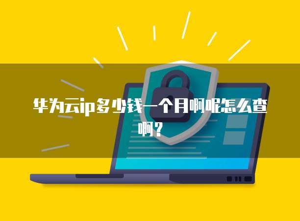 华为云ip多少钱一个月啊呢怎么查啊?