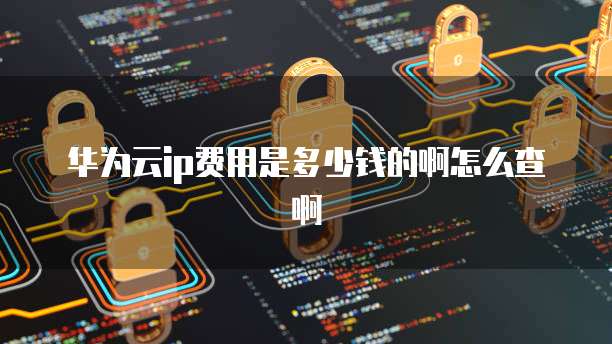华为云ip费用是多少钱的啊怎么查啊