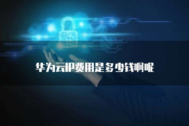 华为云IP费用是多少钱啊呢