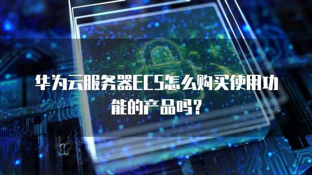 华为云服务器ECS怎么购买使用功能的产品吗?