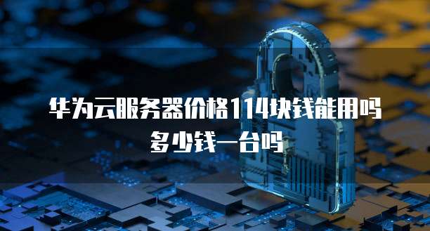 华为云服务器价格114块钱能用吗多少钱一台吗