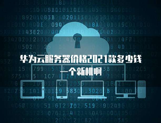 华为云服务器价格2021款多少钱一个新机啊