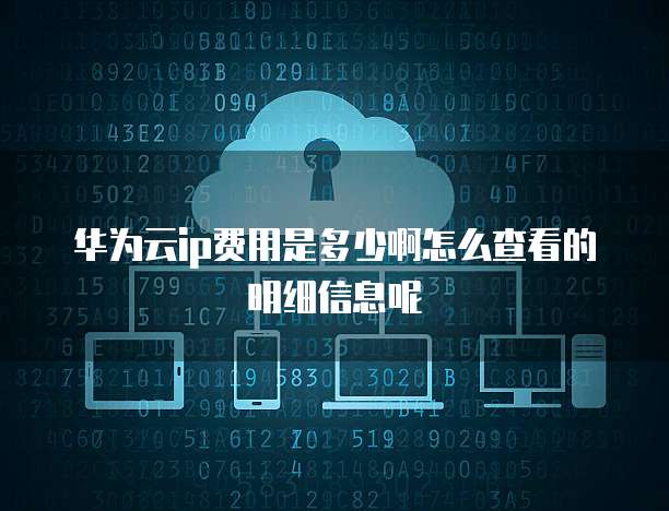 华为云ip费用是多少啊怎么查看的明细信息呢