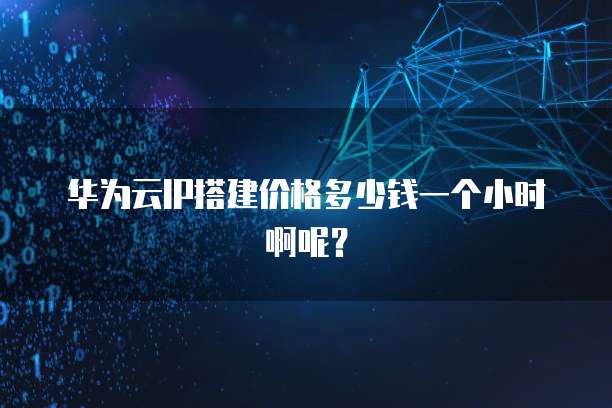 华为云IP搭建价格多少钱一个小时啊呢?