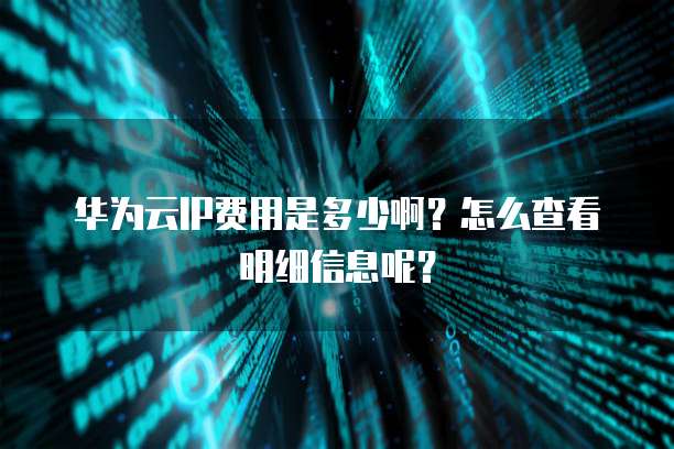 华为云IP费用是多少啊?怎么查看明细信息呢?