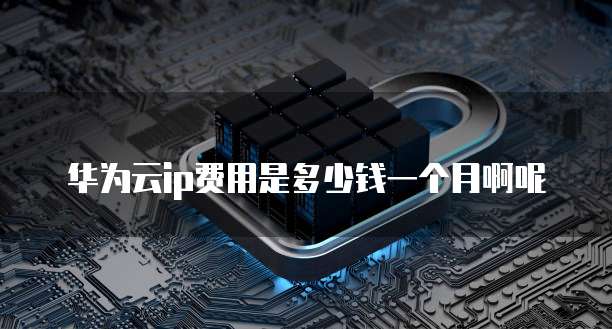 华为云ip费用是多少钱一个月啊呢