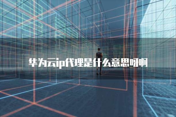 华为云ip代理是什么意思呀啊