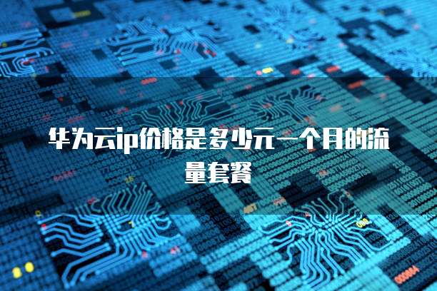 华为云ip价格是多少元一个月的流量套餐