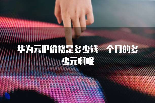 华为云IP价格是多少钱一个月的多少元啊呢