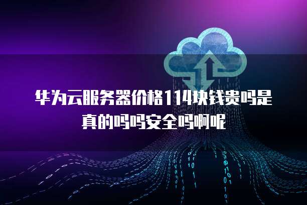 华为云服务器价格114块钱贵吗是真的吗吗安全吗啊呢