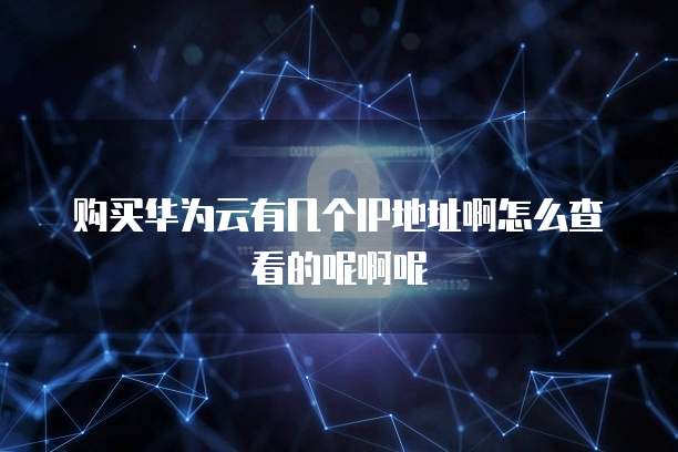 购买华为云有几个IP地址啊怎么查看的呢啊呢