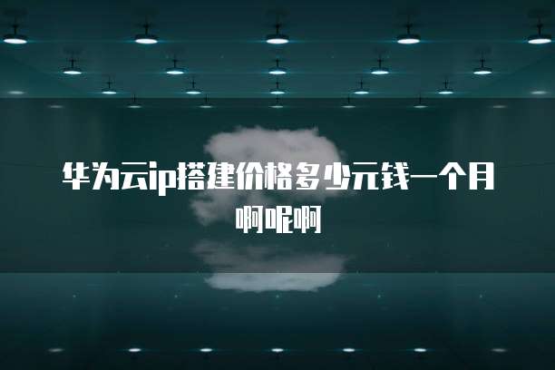 华为云ip搭建价格多少元钱一个月啊呢啊