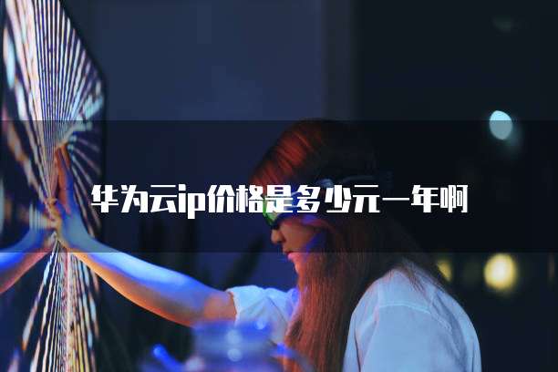 华为云ip价格是多少元一年啊