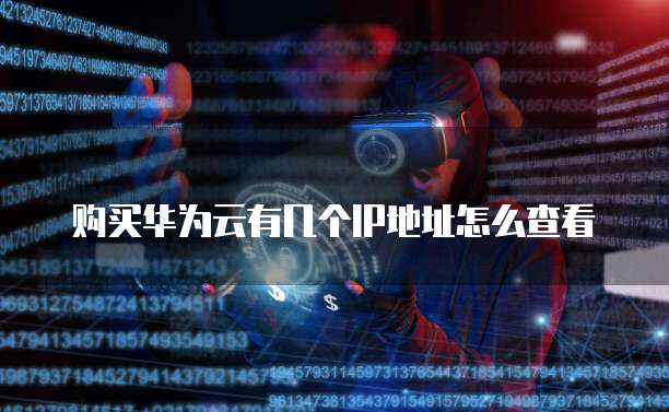 购买华为云有几个IP地址怎么查看