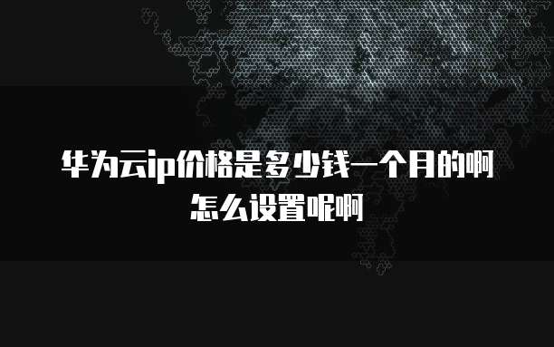 华为云ip价格是多少钱一个月的啊怎么设置呢啊