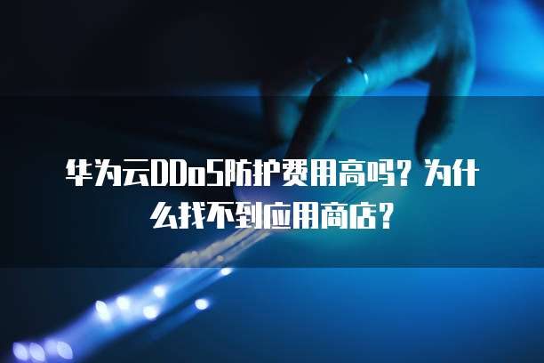 华为云DDoS防护费用高吗?为什么找不到应用商店?
