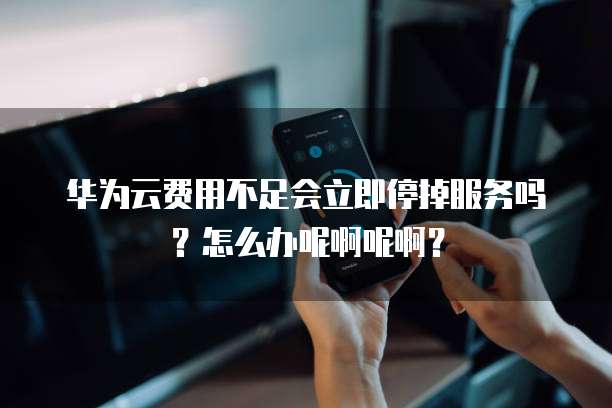 华为云费用不足会立即停掉服务吗?怎么办呢啊呢啊?