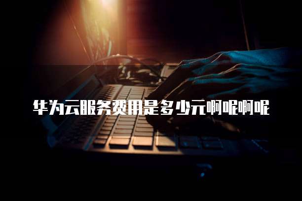 华为云服务费用是多少元啊呢啊呢