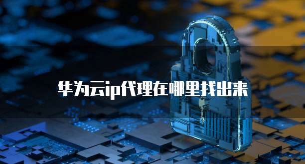 华为云ip代理在哪里找出来