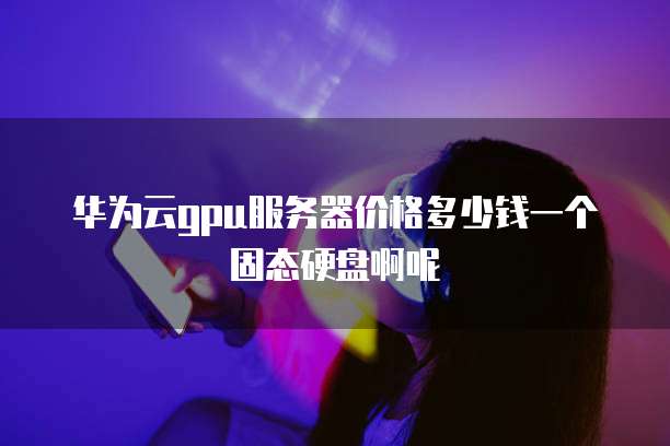 华为云gpu服务器价格多少钱一个固态硬盘啊呢