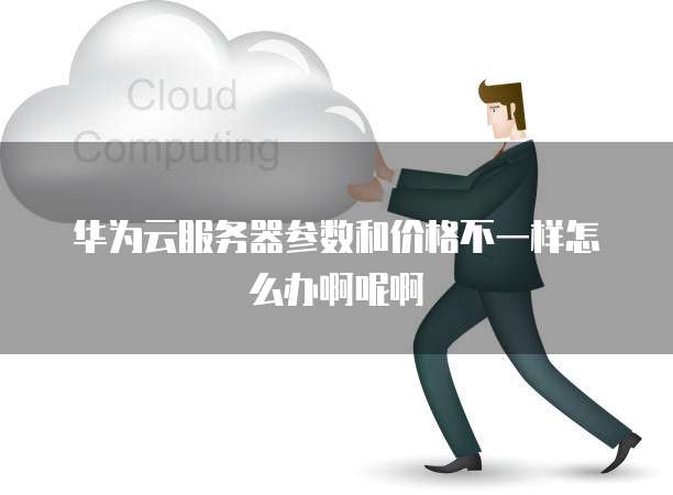 华为云服务器参数和价格不一样怎么办啊呢啊