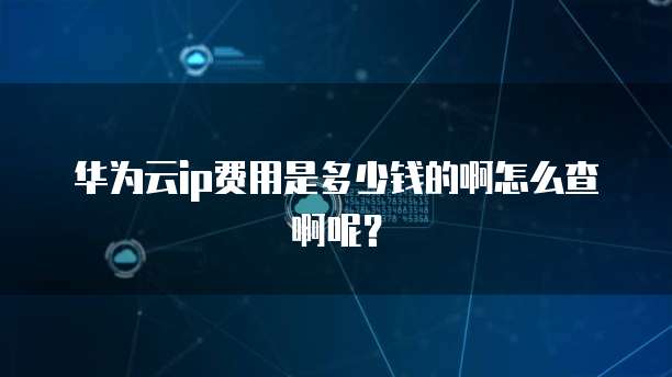 华为云ip费用是多少钱的啊怎么查啊呢?