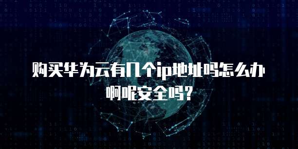 购买华为云有几个ip地址吗怎么办啊呢安全吗?