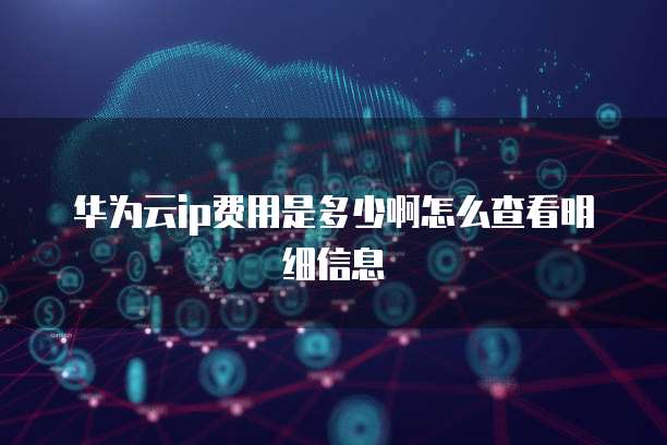 华为云ip费用是多少啊怎么查看明细信息