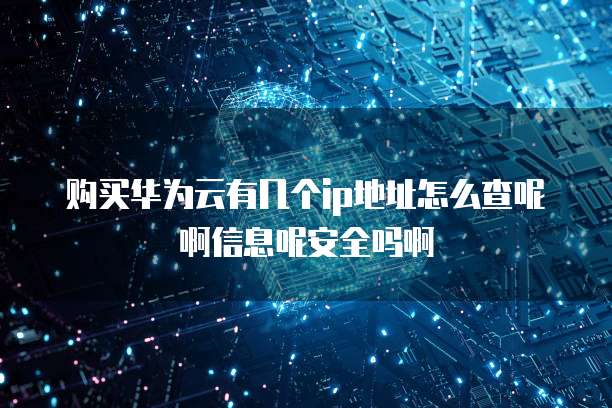 购买华为云有几个ip地址怎么查呢啊信息呢安全吗啊