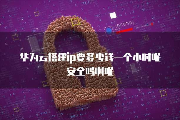 华为云搭建ip要多少钱一个小时呢安全吗啊呢