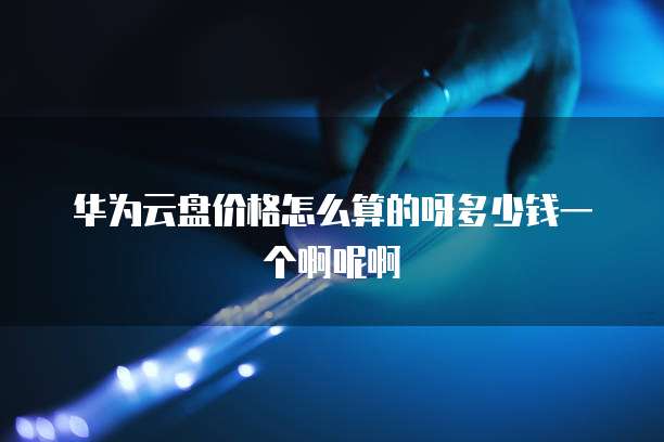 华为云盘价格怎么算的呀多少钱一个啊呢啊