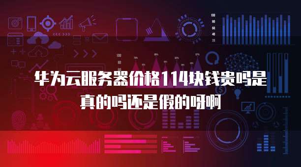 华为云服务器价格114块钱贵吗是真的吗还是假的呀啊