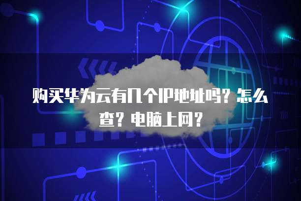 购买华为云有几个IP地址吗?怎么查?电脑上网?