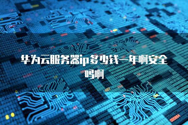华为云服务器ip多少钱一年啊安全吗啊