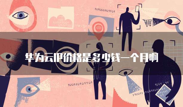 华为云IP价格是多少钱一个月啊