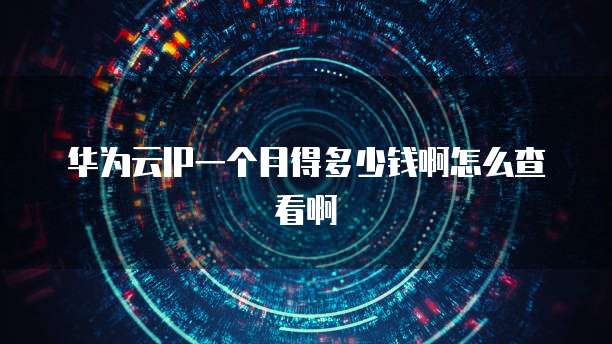 华为云IP一个月得多少钱啊怎么查看啊