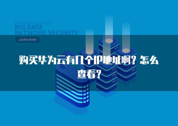 购买华为云有几个IP地址啊?怎么查看?