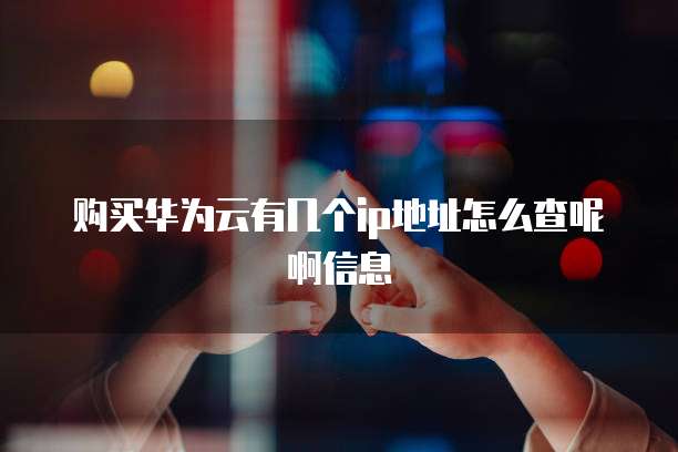 购买华为云有几个ip地址怎么查呢啊信息