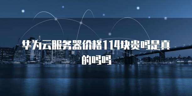 华为云服务器价格114块贵吗是真的吗吗