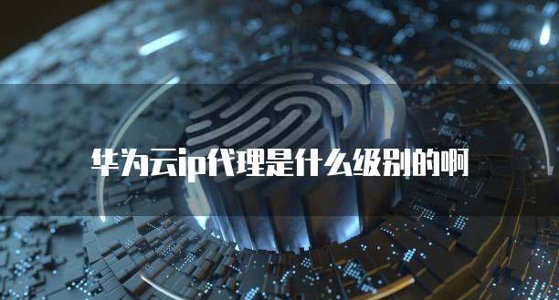 华为云ip代理是什么级别的啊