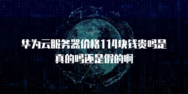 华为云服务器价格114块钱贵吗是真的吗还是假的啊