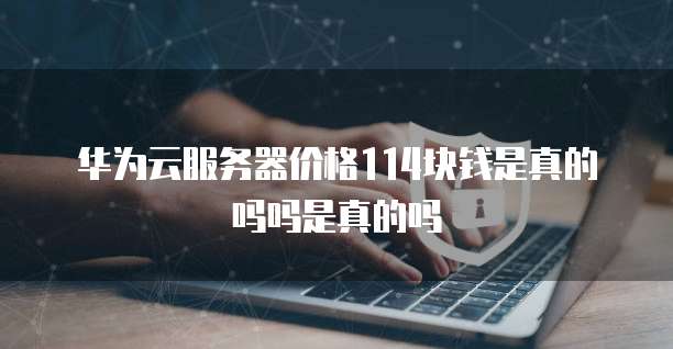 华为云服务器价格114块钱是真的吗吗是真的吗
