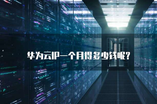 华为云IP一个月得多少钱呢？