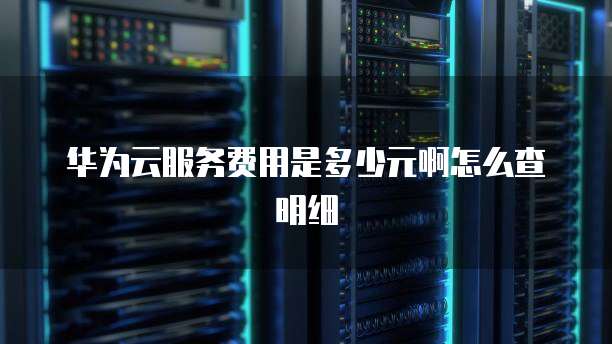华为云服务费用是多少元啊怎么查明细